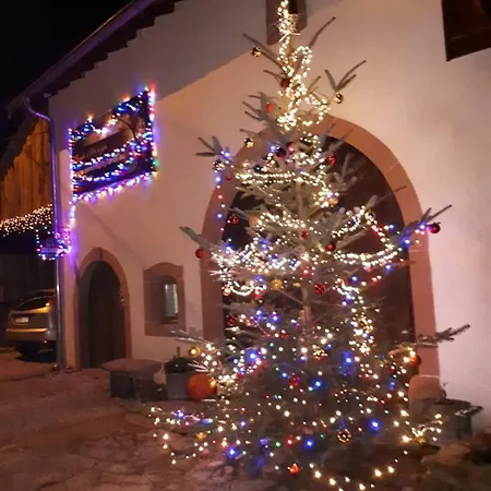 Apartamento Serendipity For All *