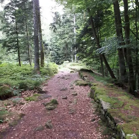 Serendipity For All Saint-Die-des-Vosges