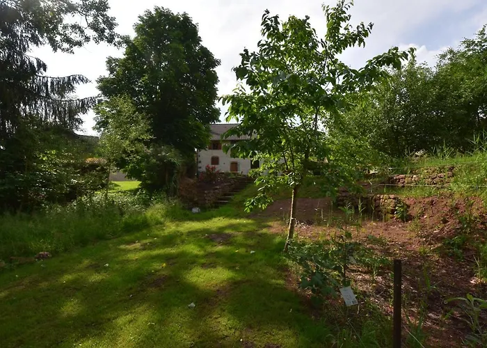 Serendipity For All * Saint-Die-des-Vosges