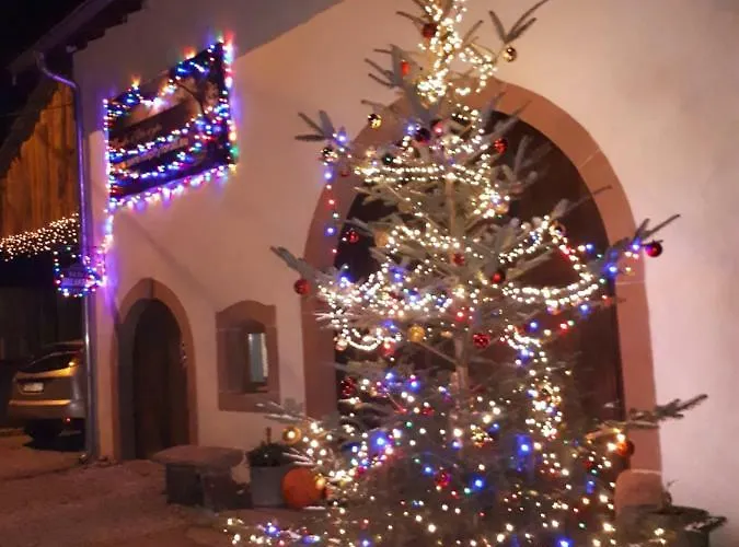 Апартаменты Serendipity For All *