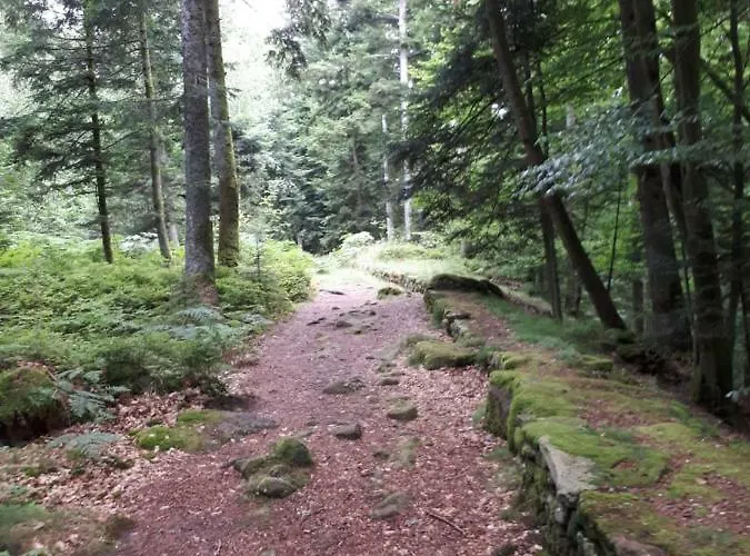 Serendipity For All Saint-Die-des-Vosges